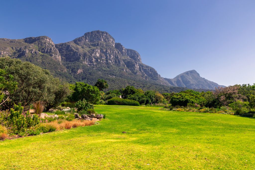 kirstenbosch-botanical-garden