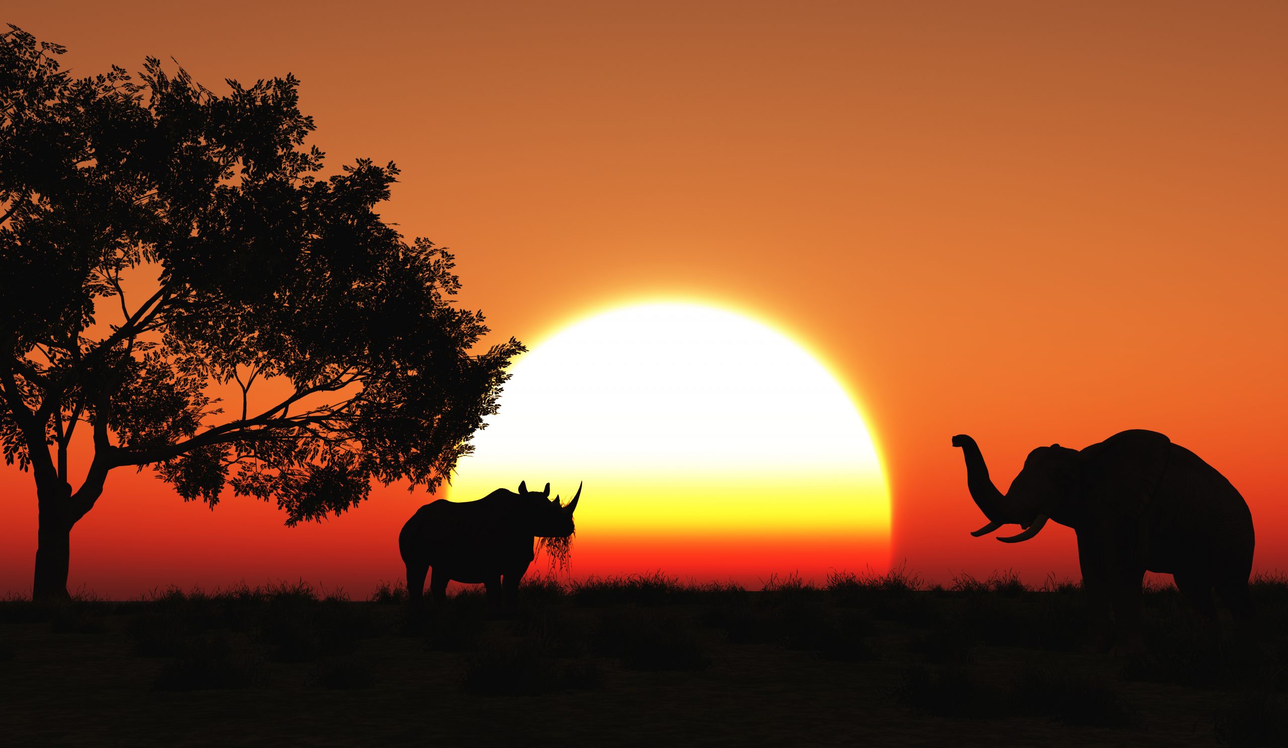 Os 10 melhores destinos na África: veja quais são!